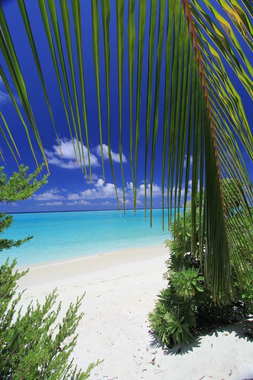Relax Residence Thoddoo Maldives Экстерьер фото